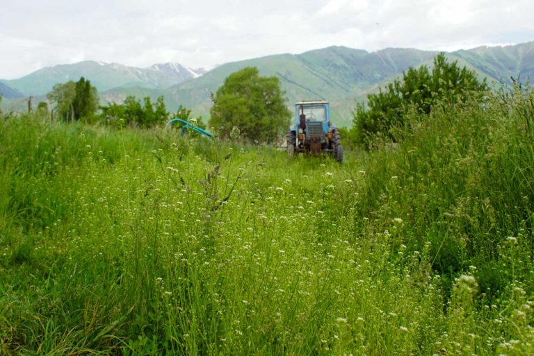 traktor steht in hohem gras in kirgistan. hohe satte grüne gräser im vordergrund und berge im hintergrund