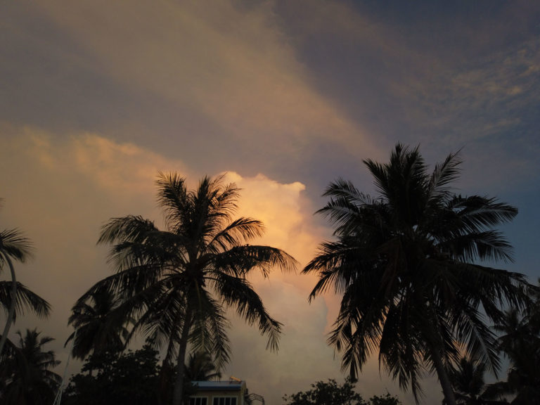 sonnenuntergang mit scheinenden wolken im vordergrund sind große dunkle palmen zu sehen. himmel in sri lanka